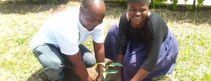 two people plant a tree together