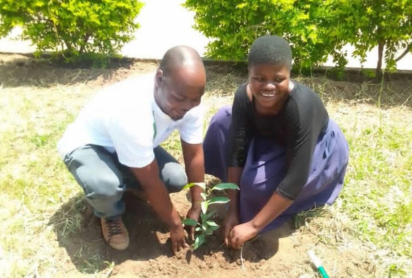 two people plant a tree together